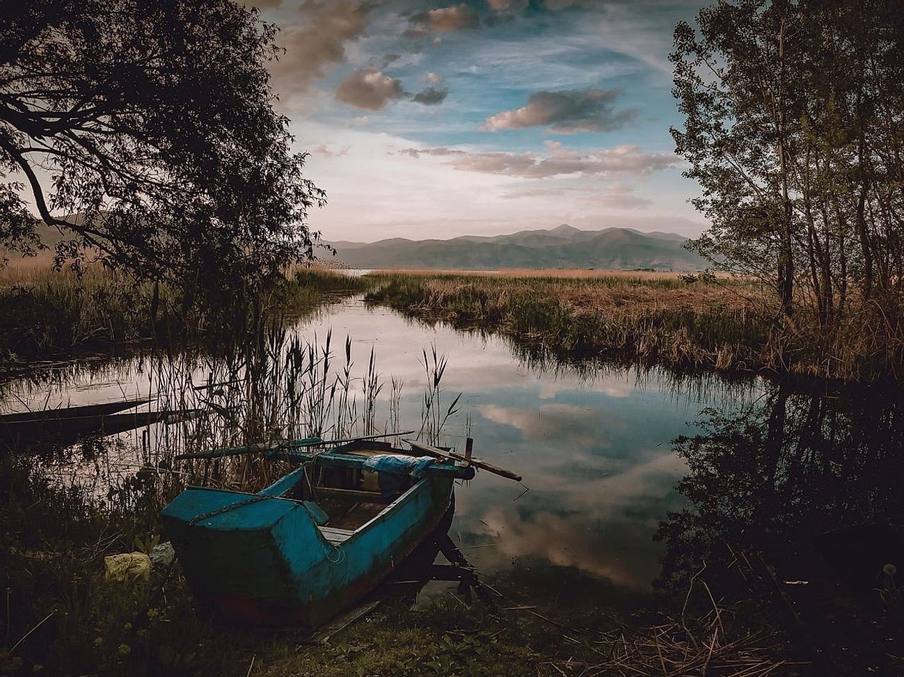 স্বাক্ষর নির্বাচন